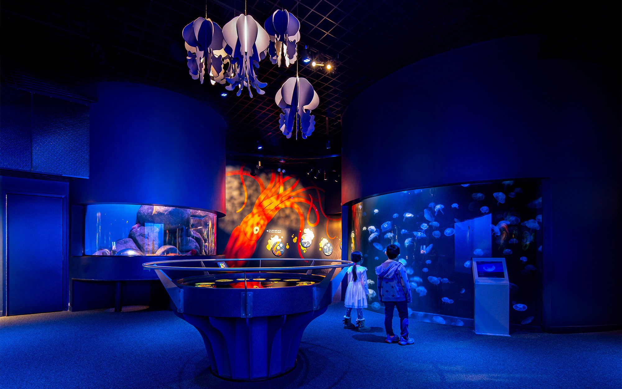New York Aquarium Spineless
